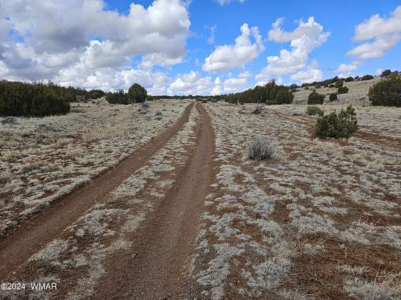 37.4 Acres of Recreational Land & Farm for Sale in Concho, Arizona