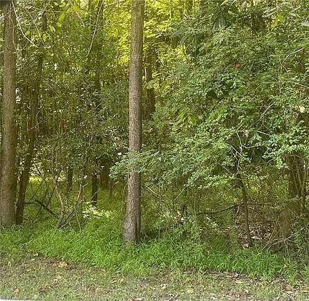 4.11 Acres of Residential Land for Sale in Chesapeake, Virginia