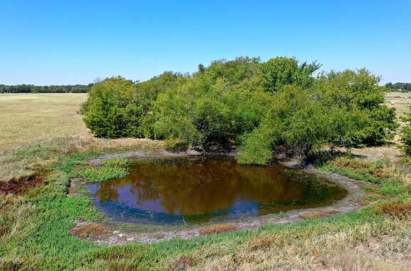 30 Acres of Land for Sale in Quinlan, Texas