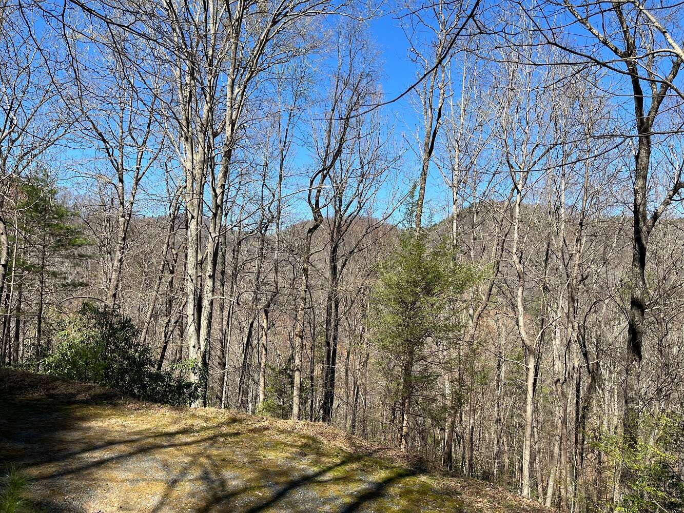 4.05 Acres of Residential Land for Sale in Deep Gap, North Carolina