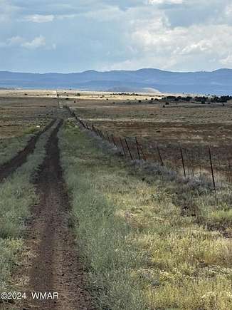 10 Acres of Agricultural Land for Sale in Concho, Arizona