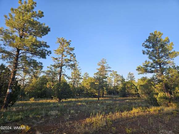 0.27 Acres of Residential Land for Sale in Lakeside, Arizona