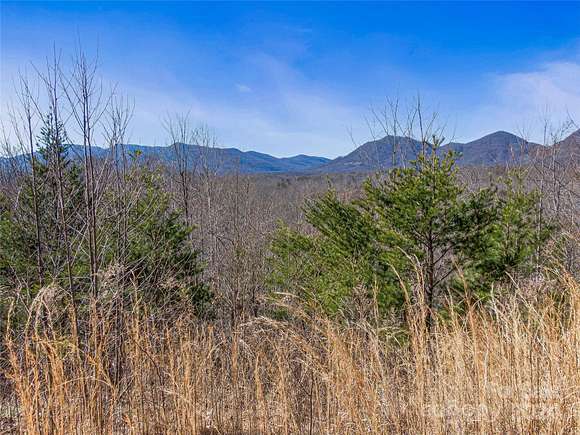 5.84 Acres of Agricultural Land for Sale in Columbus, North Carolina