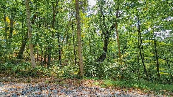 6.38 Acres of Land for Sale in Talking Rock, Georgia