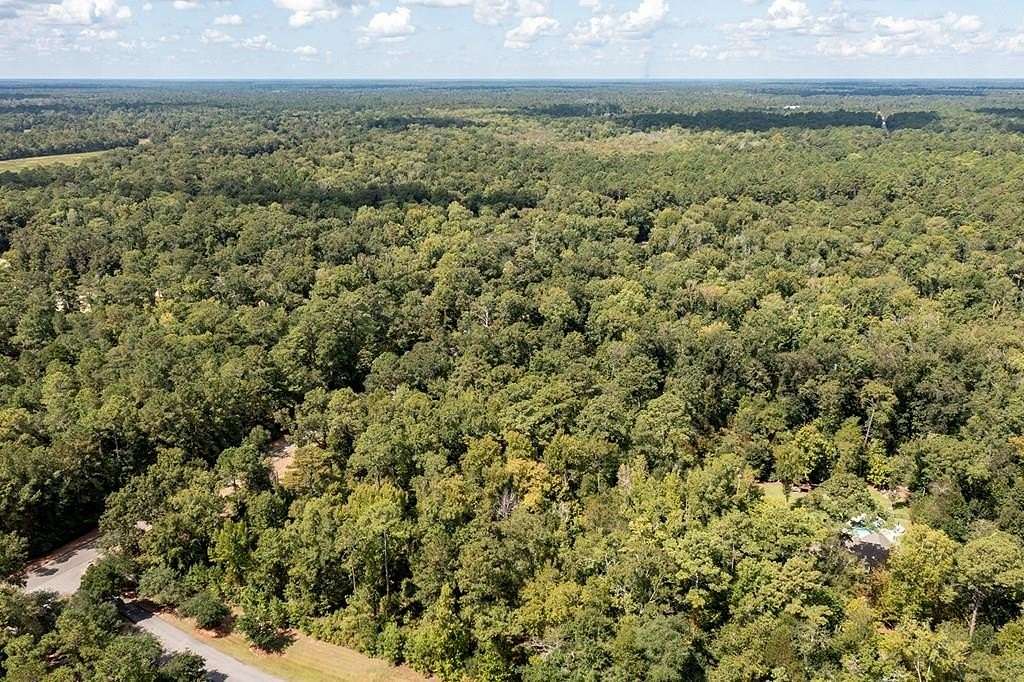 9.05 Acres of Residential Land for Sale in Albany, Georgia