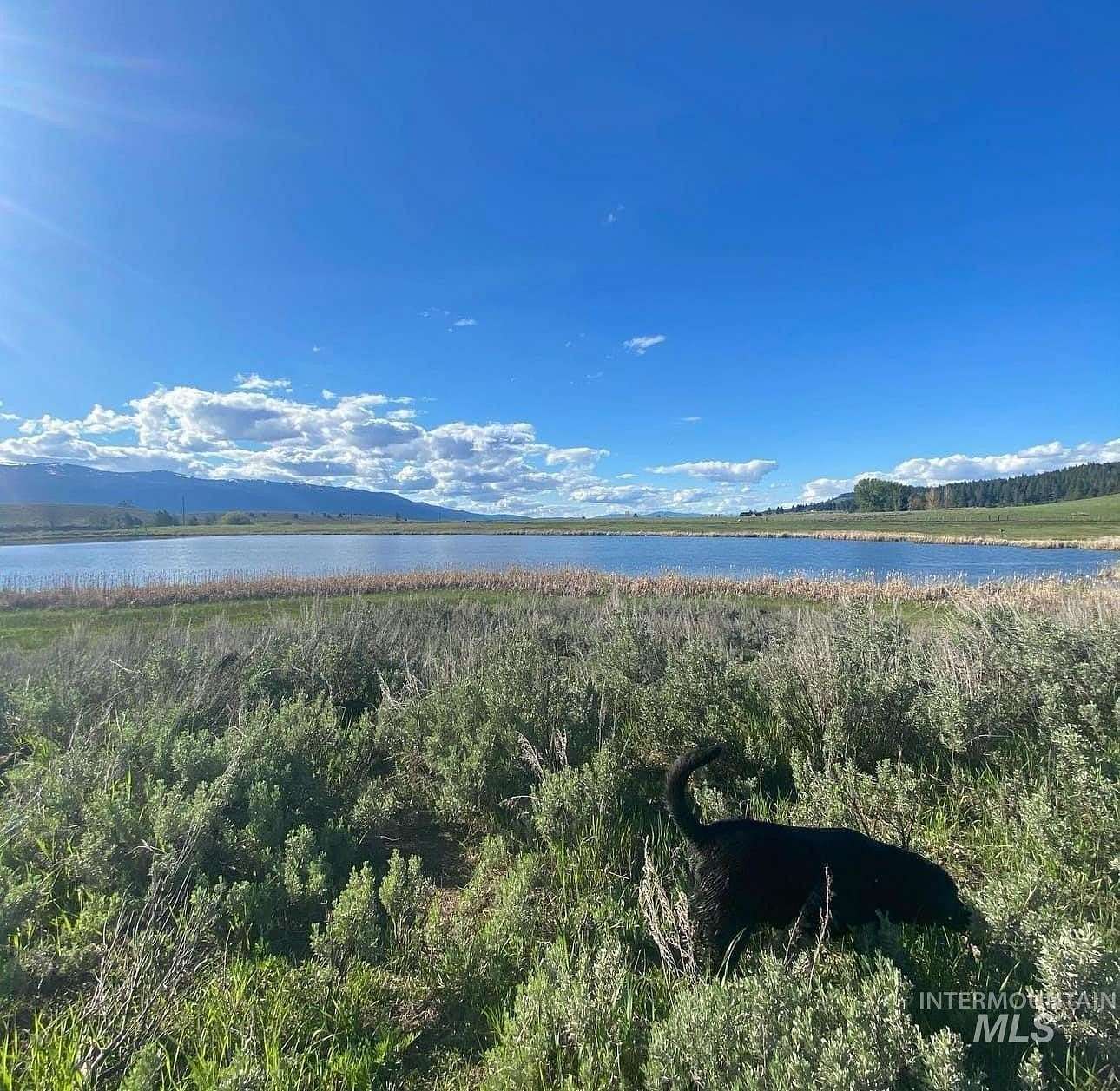 10.783 Acres of Land for Sale in Cascade, Idaho