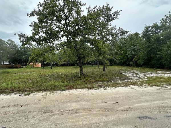 0.36 Acres of Land for Sale in Panacea, Florida