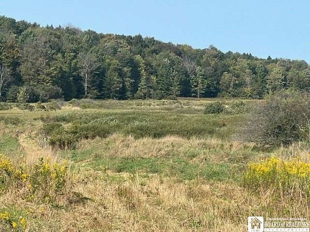 23.3 Acres of Improved Land for Sale in Clymer, New York