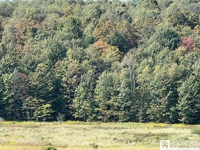 23.3 Acres of Improved Land for Sale in Clymer, New York