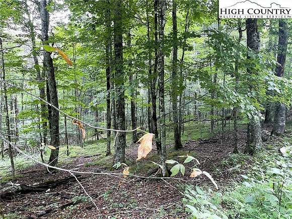 0.28 Acres of Land for Sale in Beech Mountain, North Carolina