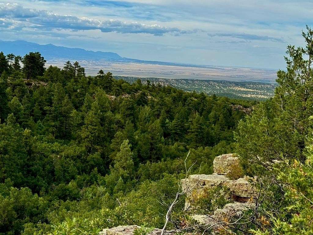 45.2 Acres of Land for Sale in Beulah, Colorado