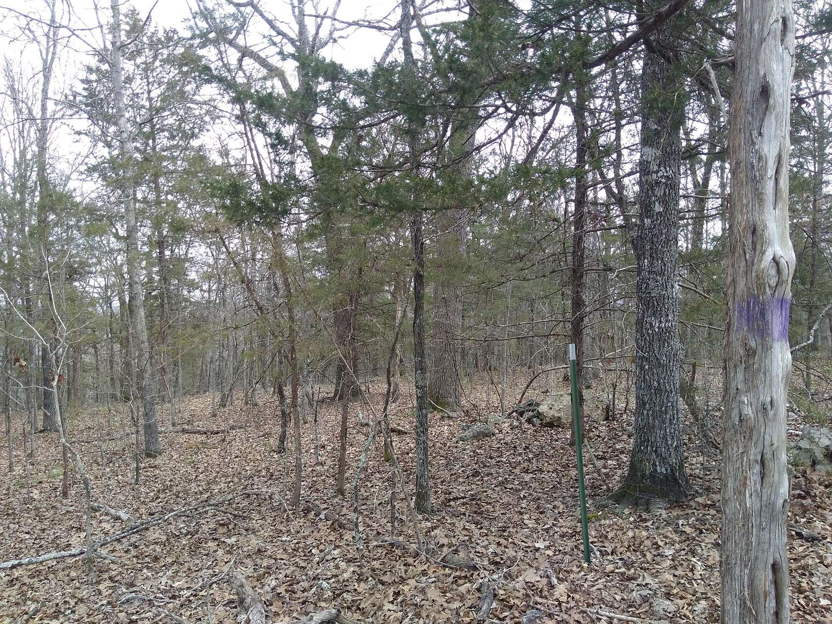 0.25 Acres of Residential Land for Sale in Cedarcreek, Missouri