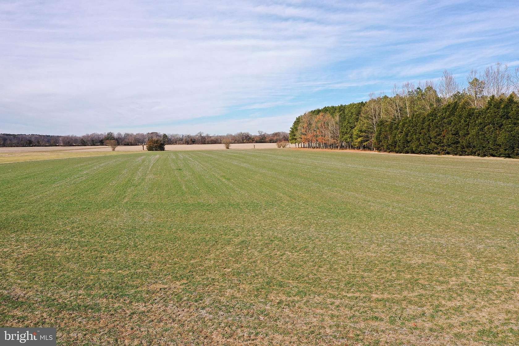 5.1 Acres of Residential Land for Sale in Princess Anne, Maryland