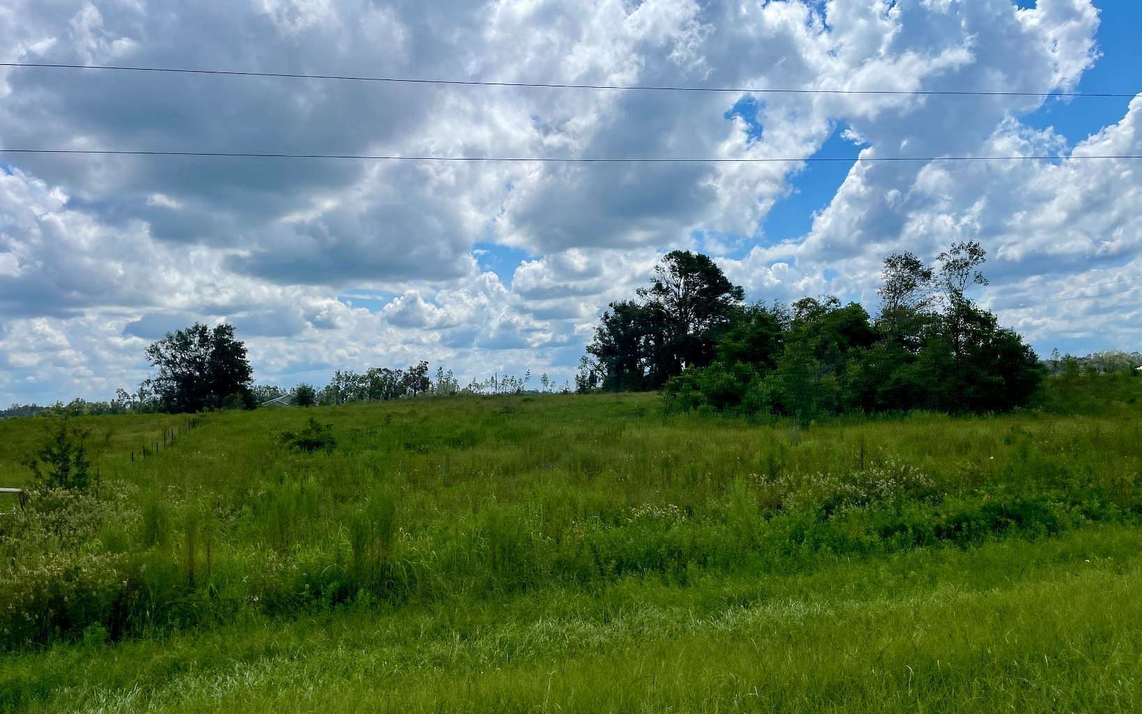 2.73 Acres of Residential Land for Sale in Mayo, Florida