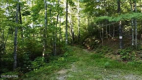 5.24 Acres of Residential Land for Sale in Walland, Tennessee