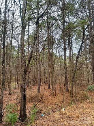 2.92 Acres of Residential Land for Sale in Chester, South Carolina