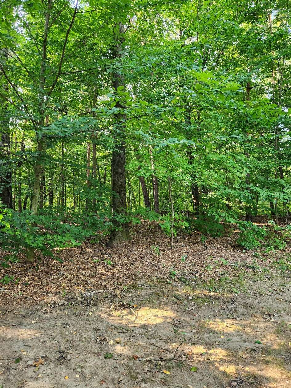 10 Acres of Recreational Land for Sale in Newaygo, Michigan