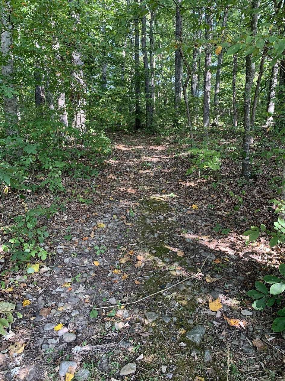 30.5 Acres of Agricultural Land for Sale in Bybee, Tennessee