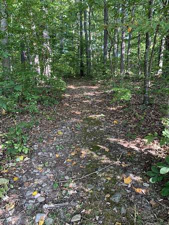 30.5 Acres of Agricultural Land for Sale in Bybee, Tennessee