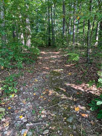 30.5 Acres of Land for Sale in Bybee, Tennessee