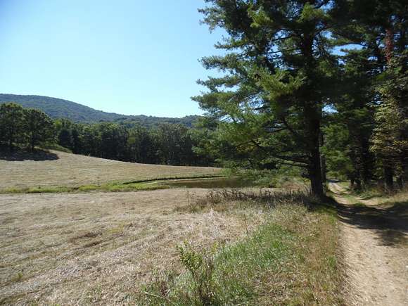 7.55 Acres of Residential Land for Sale in Marlinton, West Virginia