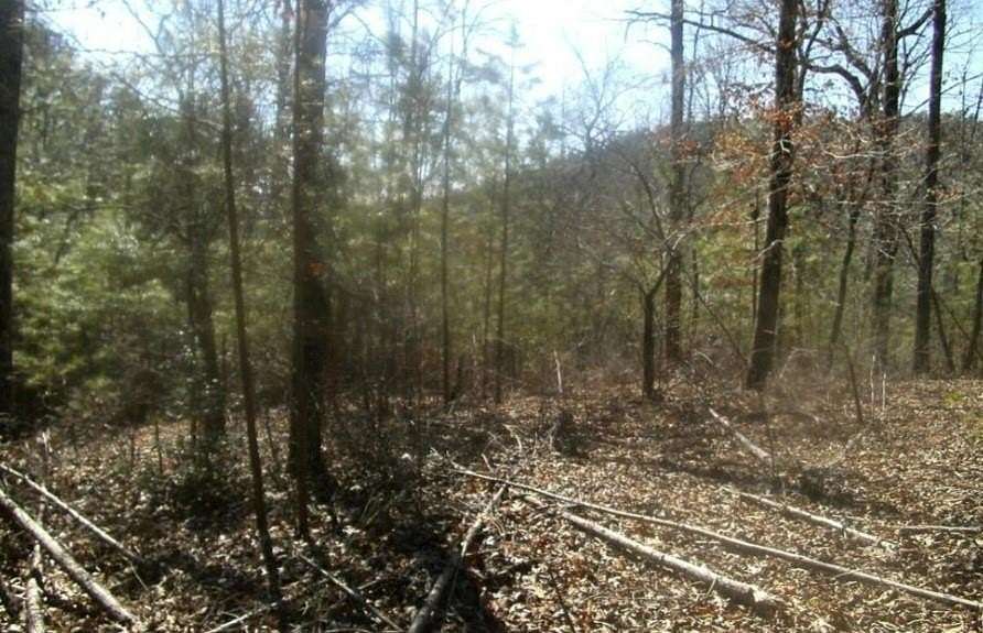 3 Acres of Residential Land for Sale in Talking Rock, Georgia