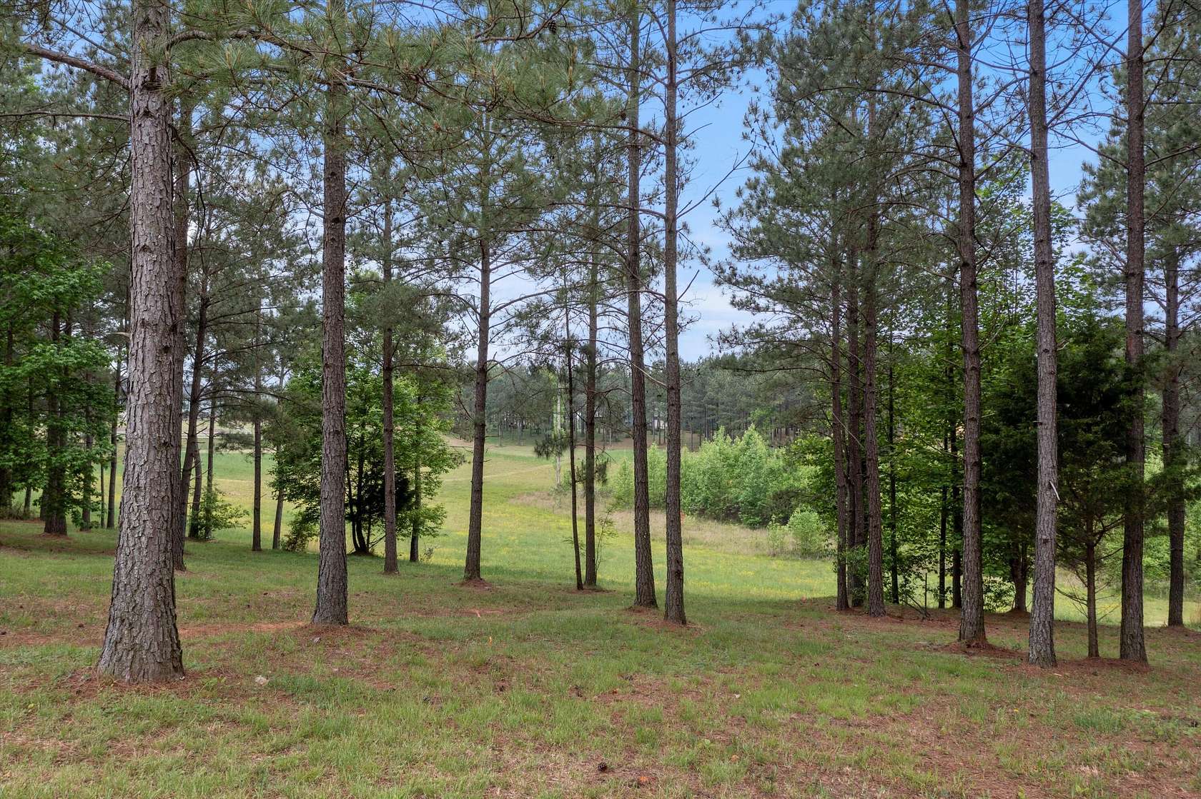 1 Acre of Residential Land for Sale in Jasper, Tennessee