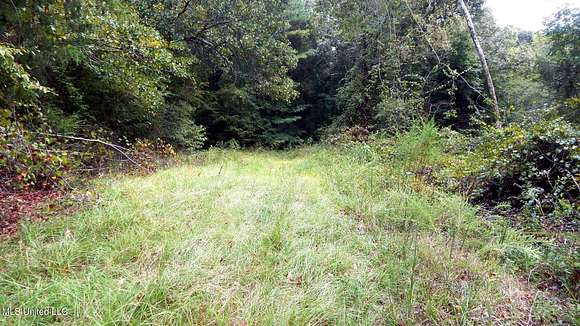 19.9 Acres of Agricultural Land for Sale in Batesville, Mississippi