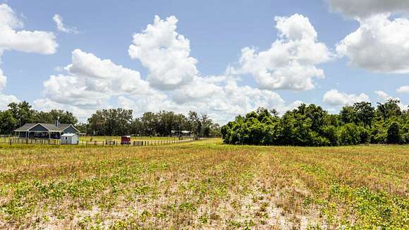 Facing East From Middle Of Property