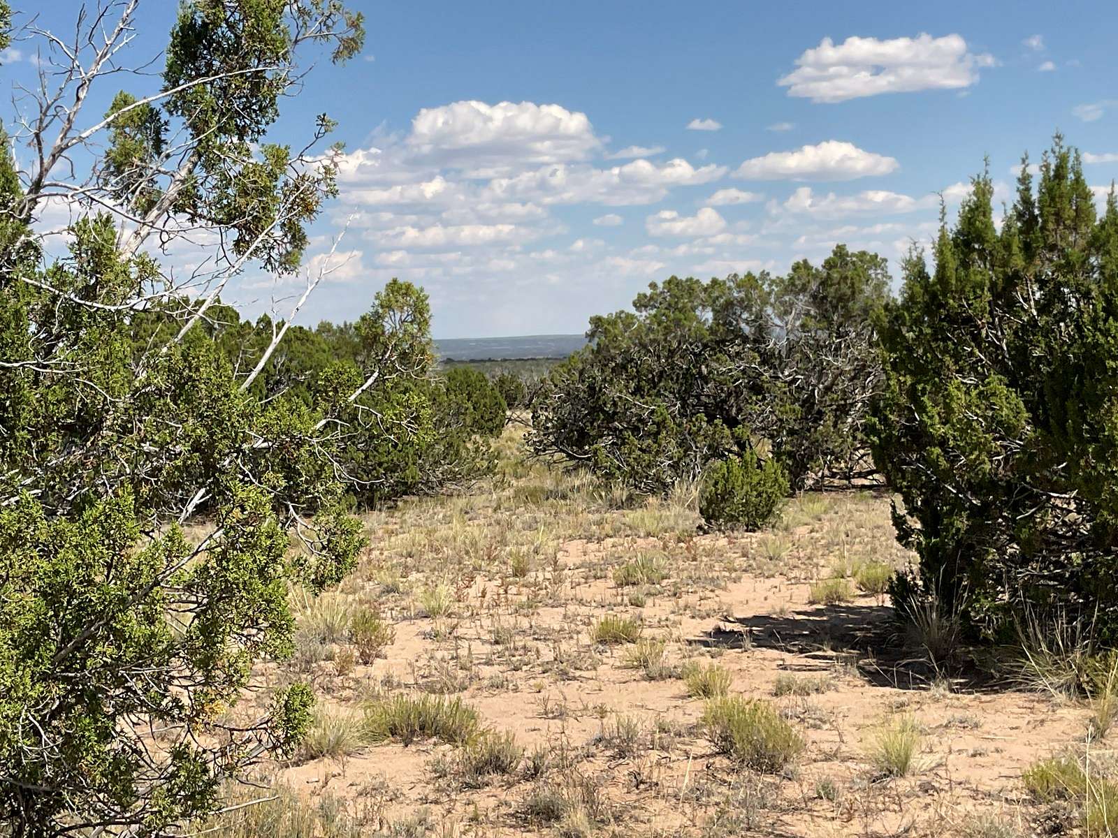 36 Acres of Recreational Land & Farm for Sale in St. Johns, Arizona