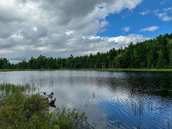 330 Acres of Recreational Land & Farm for Sale in Robbinston, Maine