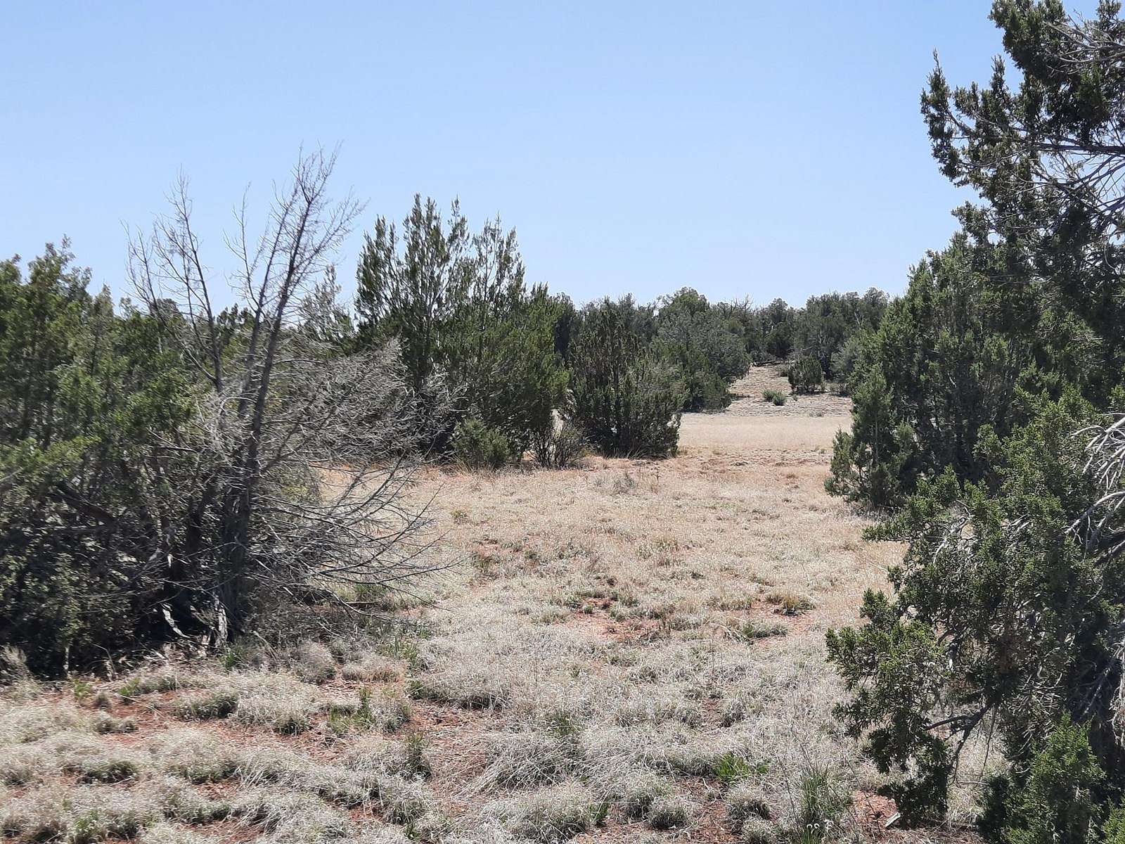 2 Acres of Land for Sale in Seligman, Arizona