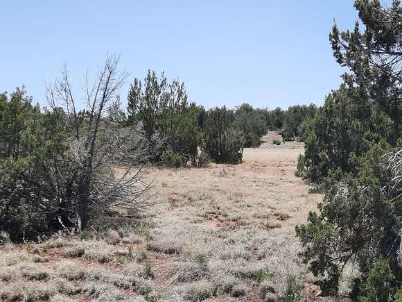 2 Acres of Land for Sale in Seligman, Arizona