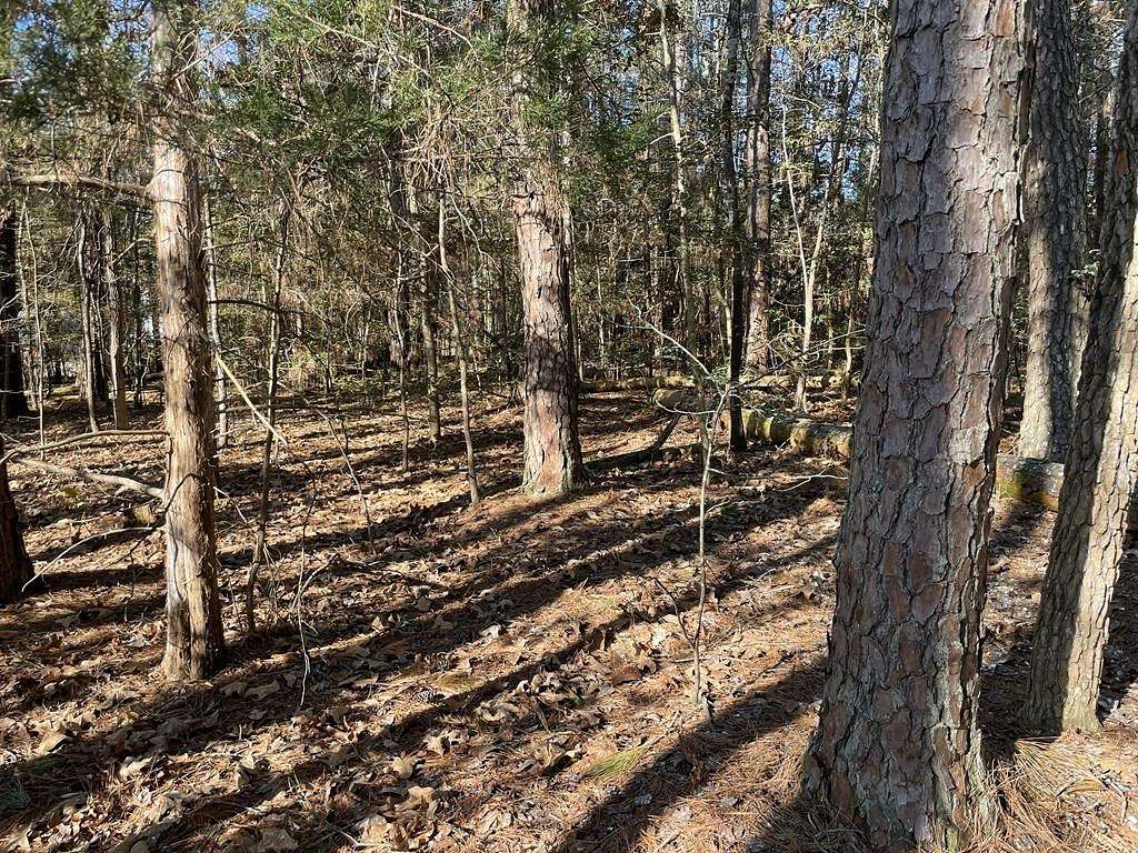 0.51 Acres of Residential Land for Sale in Bracey, Virginia