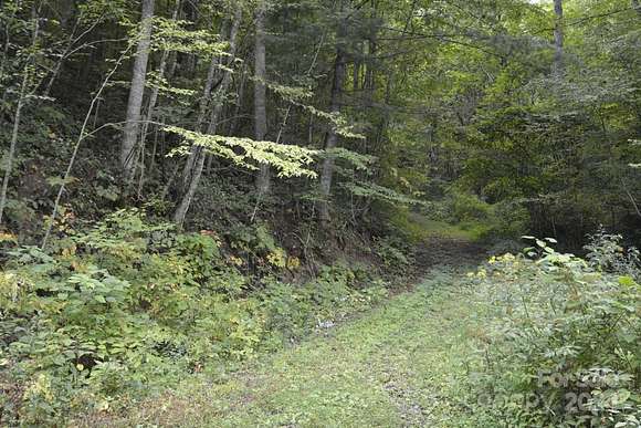 1.56 Acres of Residential Land for Sale in Barnardsville, North Carolina