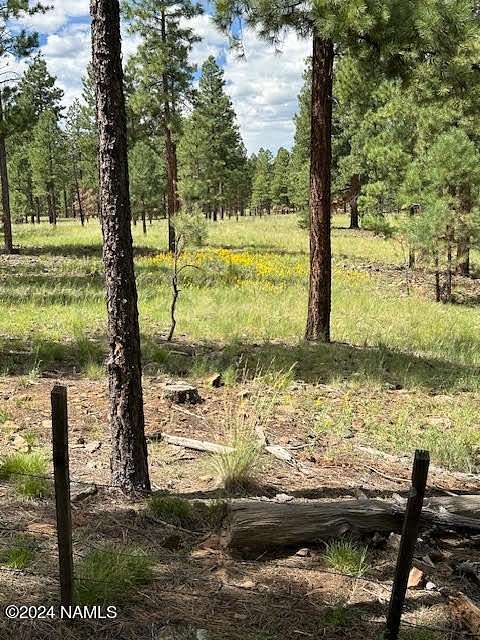 5.07 Acres of Residential Land for Sale in Flagstaff, Arizona