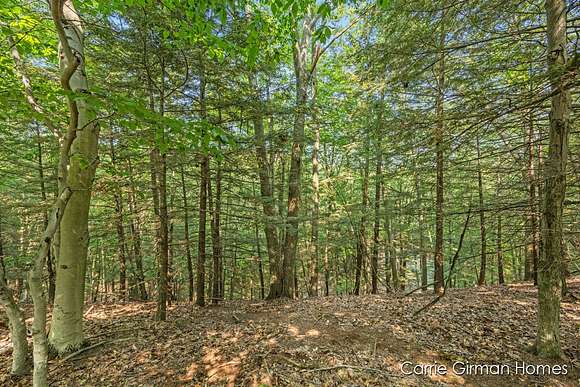 0.46 Acres of Land for Sale in Grand Haven, Michigan