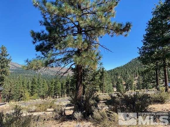 0.68 Acres of Residential Land for Sale in Carson City, Nevada