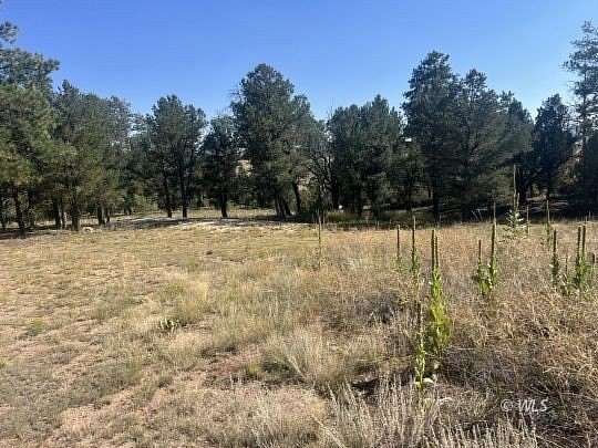 35 Acres of Recreational Land for Sale in Cotopaxi, Colorado