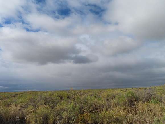 10 Acres of Recreational Land for Sale in Christmas Valley, Oregon