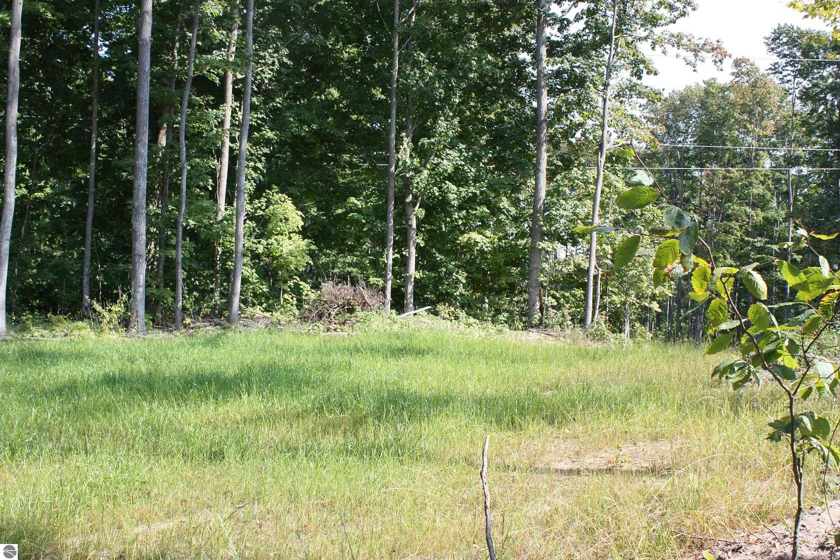 5.51 Acres of Recreational Land for Sale in Kalkaska, Michigan