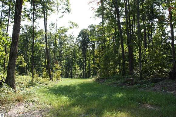 5.01 Acres of Recreational Land for Sale in Kalkaska, Michigan