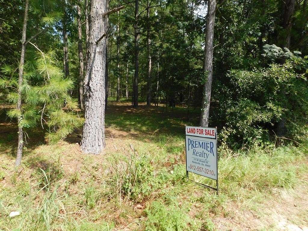 6.05 Acres of Residential Land for Sale in Reidsville, Georgia