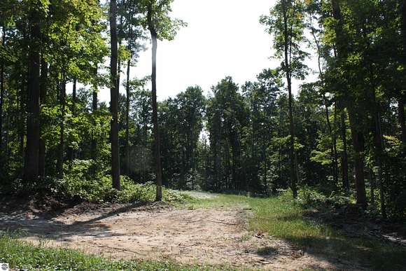 5 Acres of Recreational Land for Sale in Kalkaska, Michigan