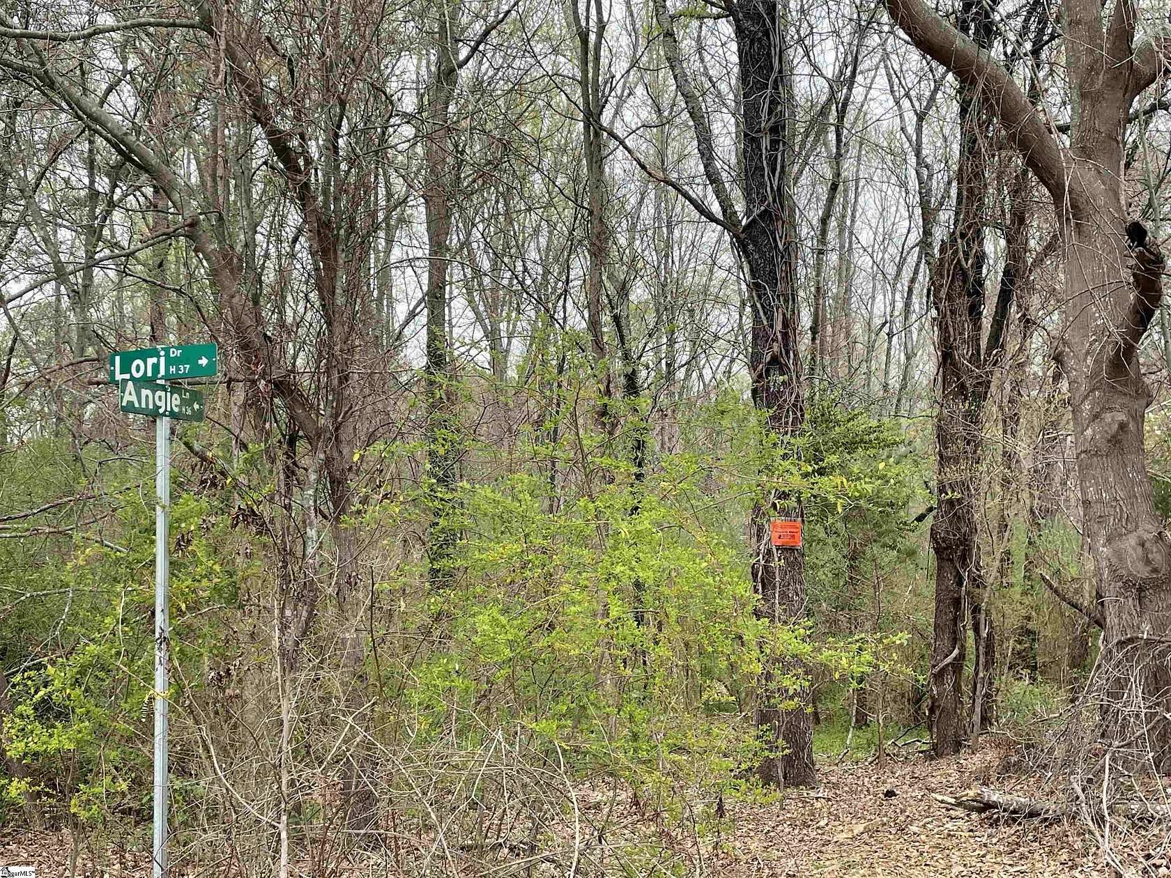 12.8 Acres of Land for Sale in Simpsonville, South Carolina