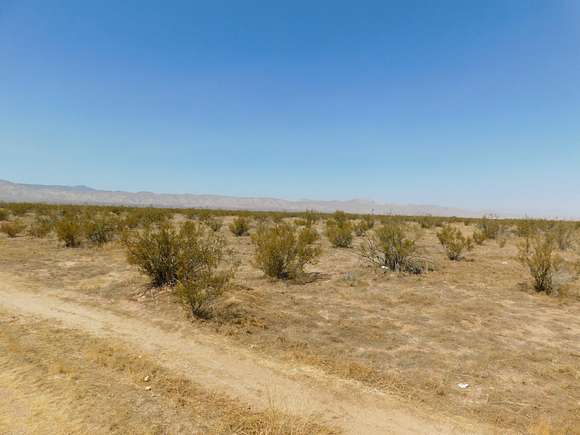 Land for Sale in California City, California