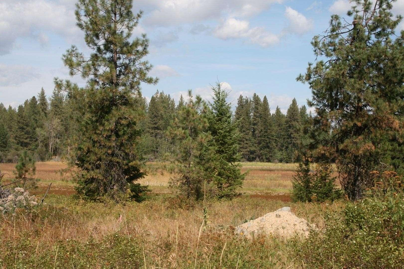 3.35 Acres of Residential Land for Sale in Valley, Washington