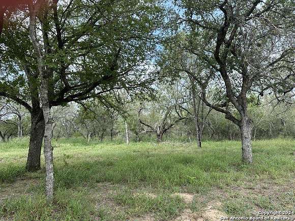 10.51 Acres of Land for Sale in Atascosa, Texas