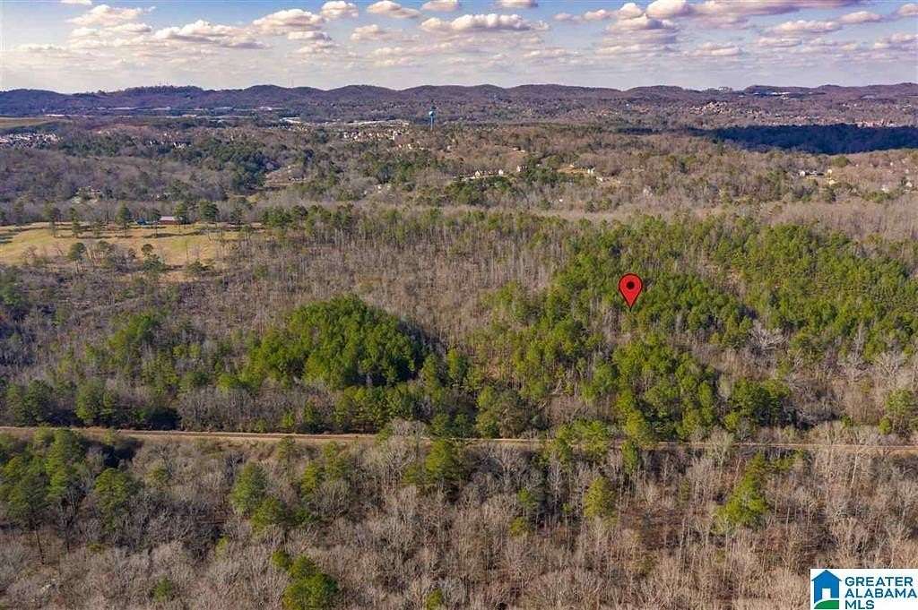 43 Acres of Recreational Land for Sale in Trussville, Alabama