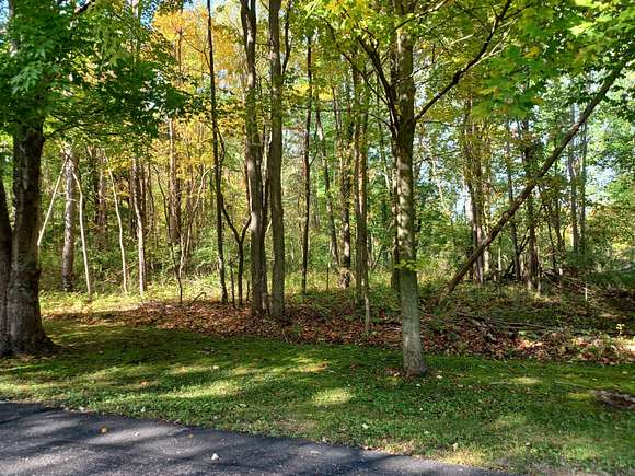 1.65 Acres of Residential Land for Sale in South Haven, Michigan